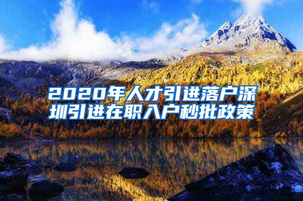 2020年人才引进落户深圳引进在职入户秒批政策