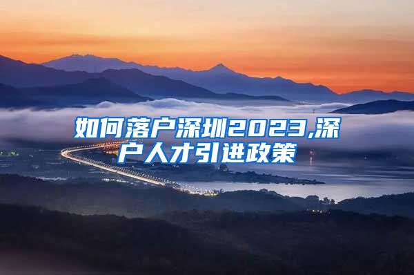 如何落户深圳2023,深户人才引进政策