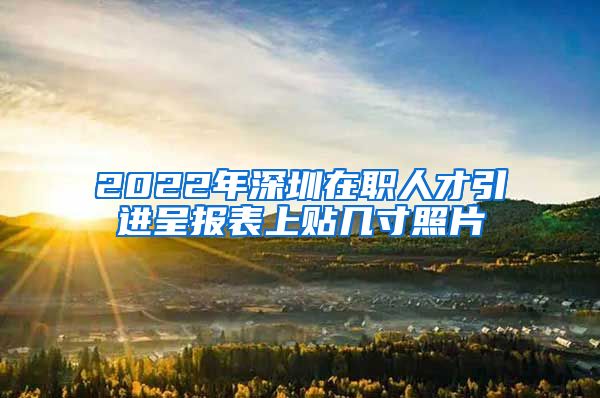 2022年深圳在职人才引进呈报表上贴几寸照片