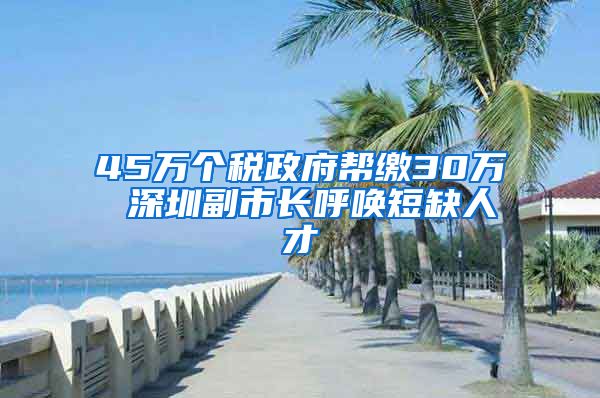 45万个税政府帮缴30万 深圳副市长呼唤短缺人才