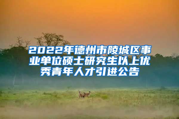 2022年德州市陵城区事业单位硕士研究生以上优秀青年人才引进公告