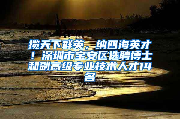 揽天下群英，纳四海英才！深圳市宝安区选聘博士和副高级专业技术人才14名