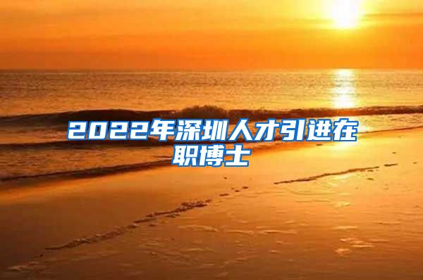 2022年深圳人才引进在职博士