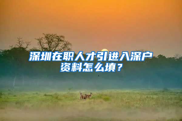 深圳在职人才引进入深户资料怎么填？