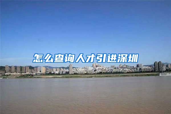 怎么查询人才引进深圳