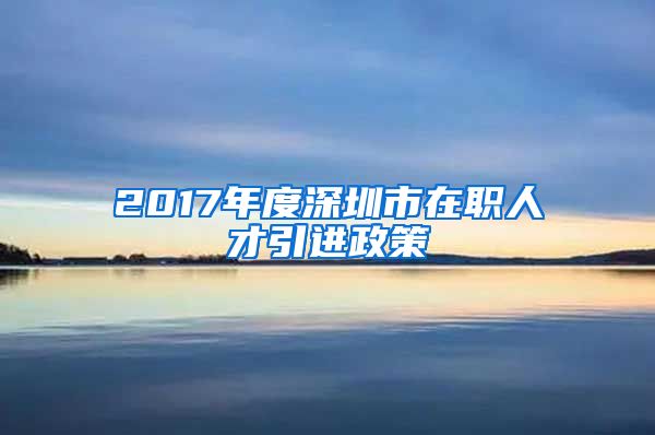 2017年度深圳市在职人才引进政策