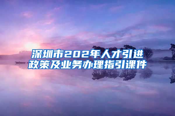 深圳市202年人才引进政策及业务办理指引课件