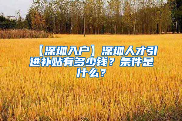 【深圳入户】深圳人才引进补贴有多少钱？条件是什么？