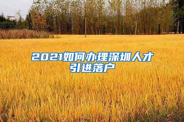 2021如何办理深圳人才引进落户