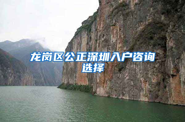 龙岗区公正深圳入户咨询选择