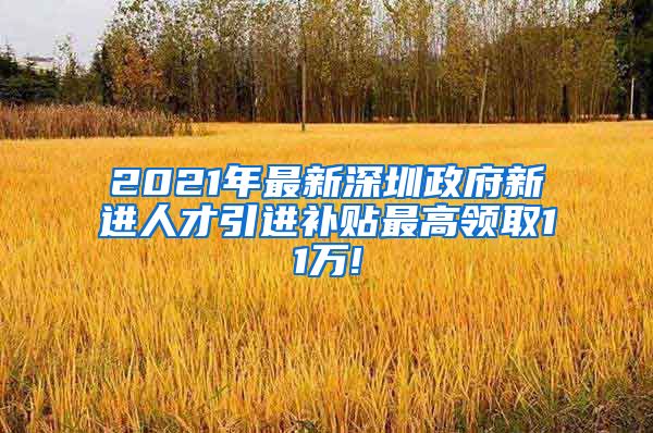 2021年最新深圳政府新进人才引进补贴最高领取11万!