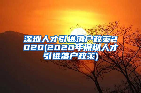 深圳人才引进落户政策2020(2020年深圳人才引进落户政策)