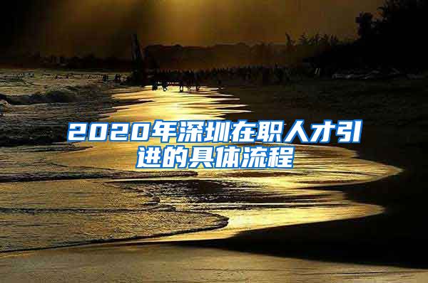 2020年深圳在职人才引进的具体流程