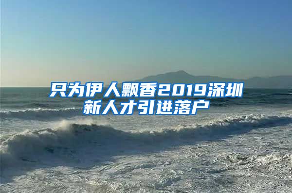 只为伊人飘香2019深圳新人才引进落户