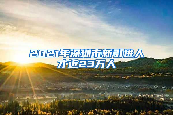 2021年深圳市新引进人才近23万人