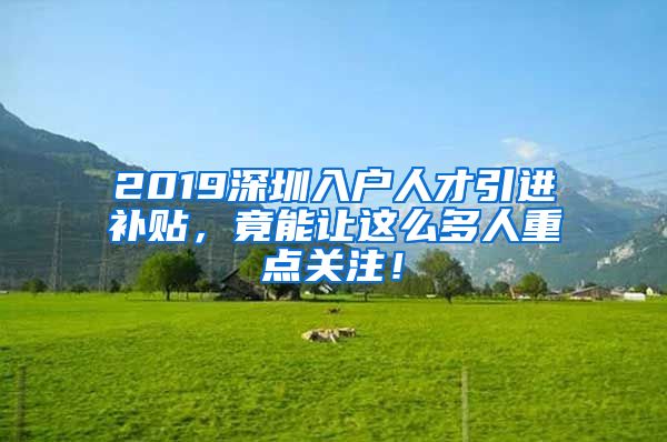 2019深圳入户人才引进补贴，竟能让这么多人重点关注！