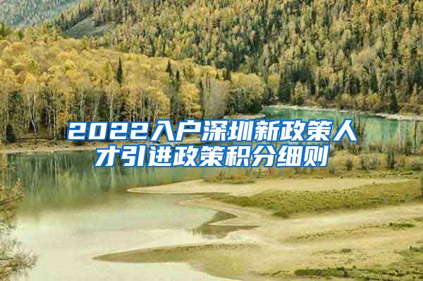 2022入户深圳新政策人才引进政策积分细则