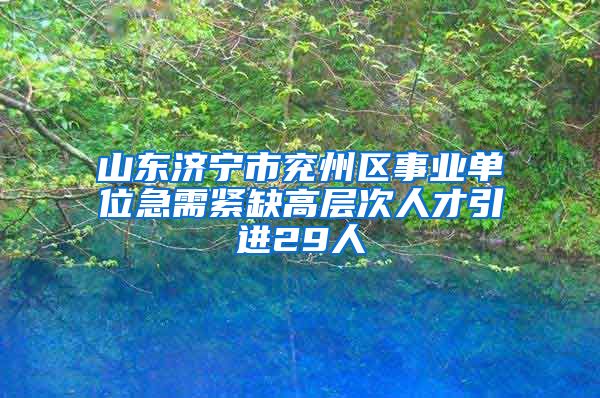 山东济宁市兖州区事业单位急需紧缺高层次人才引进29人