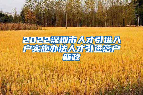 2022深圳市人才引进入户实施办法人才引进落户新政