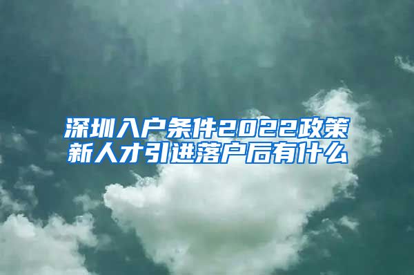 深圳入户条件2022政策新人才引进落户后有什么