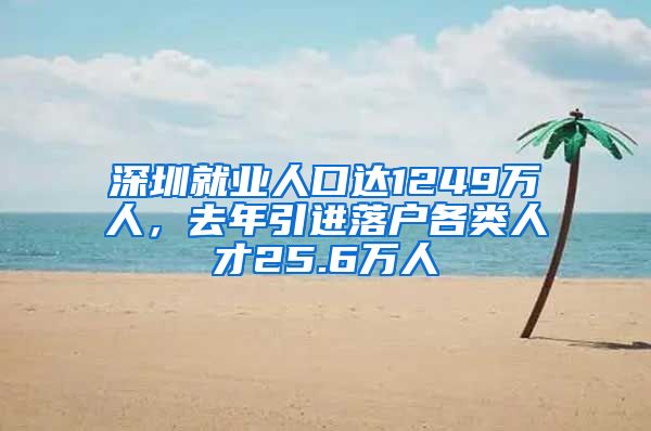 深圳就业人口达1249万人，去年引进落户各类人才25.6万人