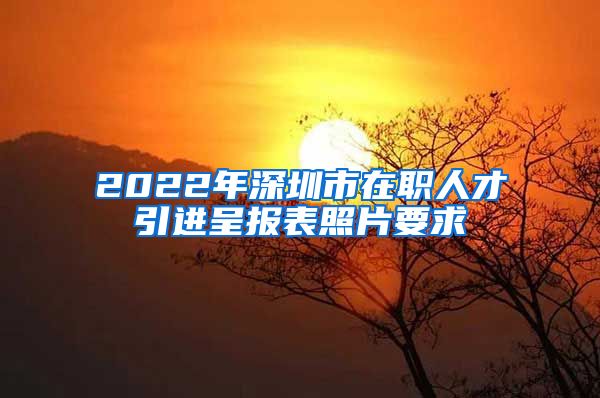 2022年深圳市在职人才引进呈报表照片要求