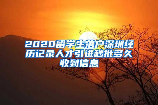 2020留学生落户深圳经历记录人才引进秒批多久收到信息