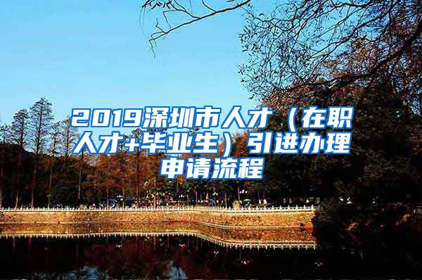 2019深圳市人才（在职人才+毕业生）引进办理申请流程