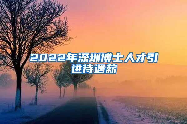 2022年深圳博士人才引进待遇薪