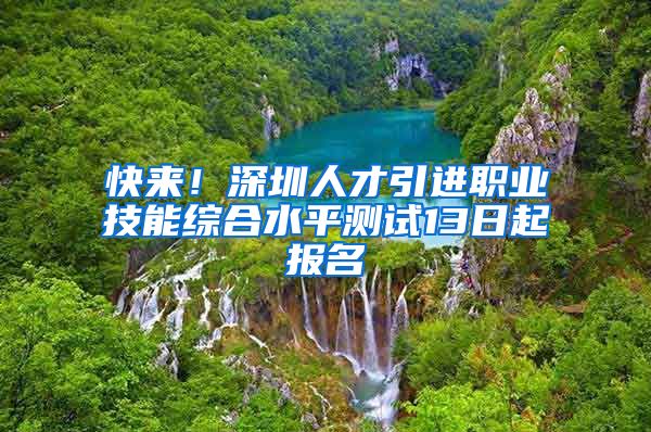 快来！深圳人才引进职业技能综合水平测试13日起报名