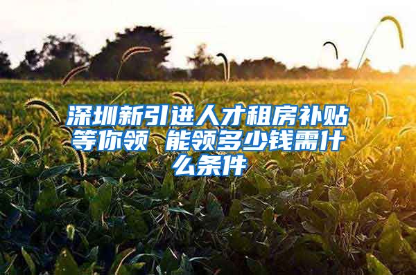 深圳新引进人才租房补贴等你领 能领多少钱需什么条件