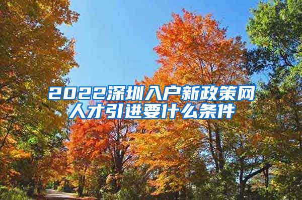 2022深圳入户新政策网人才引进要什么条件