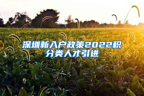 深圳新入户政策2022积分类人才引进