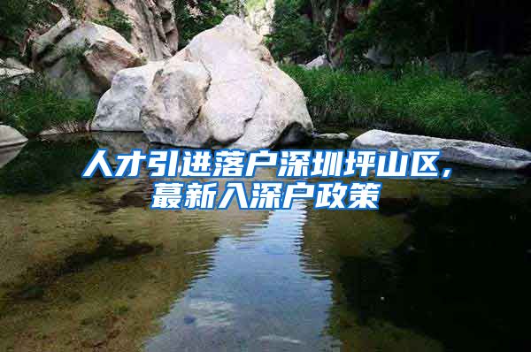 人才引进落户深圳坪山区,蕞新入深户政策