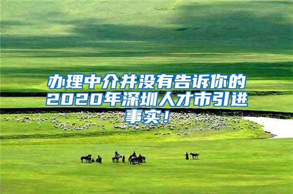 办理中介并没有告诉你的2020年深圳人才市引进事实！