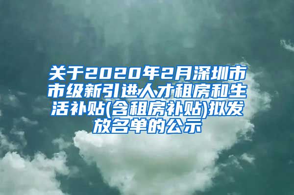 关于2020年2月深圳市市级新引进人才租房和生活补贴(含租房补贴)拟发放名单的公示