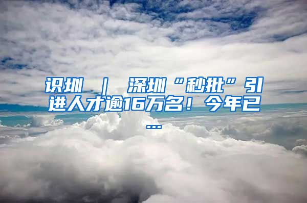 识圳 ｜ 深圳“秒批”引进人才逾16万名！今年已...