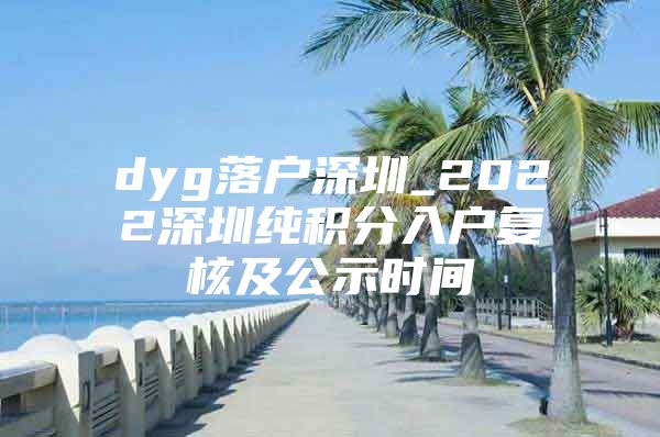 dyg落户深圳_2022深圳纯积分入户复核及公示时间