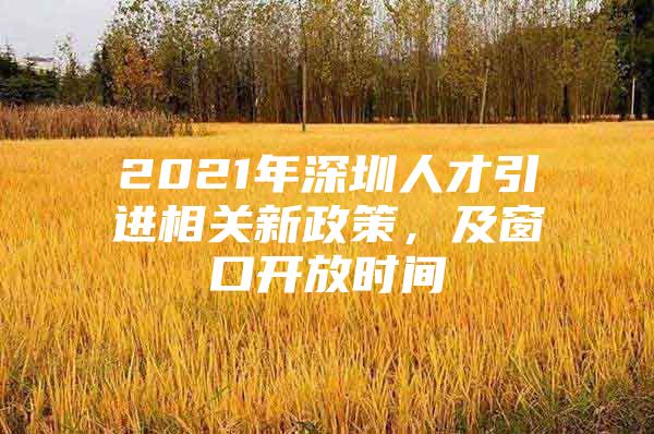 2021年深圳人才引进相关新政策，及窗口开放时间