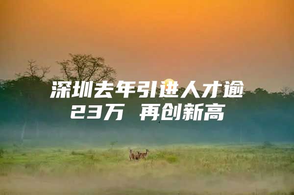 深圳去年引进人才逾23万 再创新高