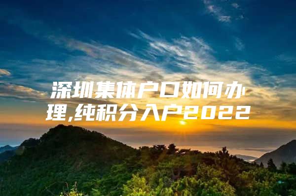 深圳集体户口如何办理,纯积分入户2022