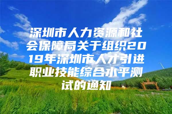 深圳市人力资源和社会保障局关于组织2019年深圳市人才引进职业技能综合水平测试的通知