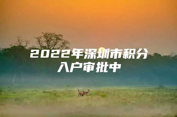 2022年深圳市积分入户审批中