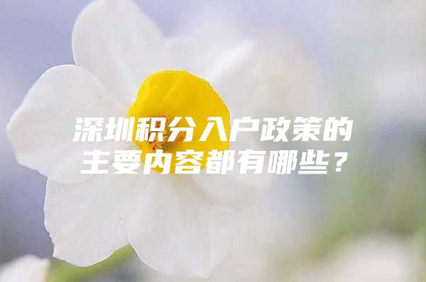 深圳积分入户政策的主要内容都有哪些？