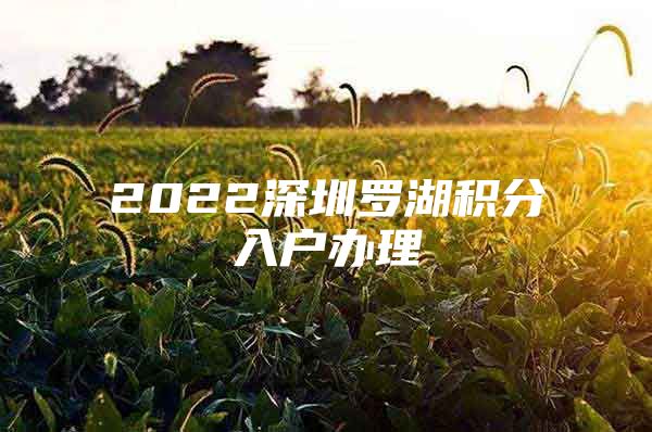 2022深圳罗湖积分入户办理