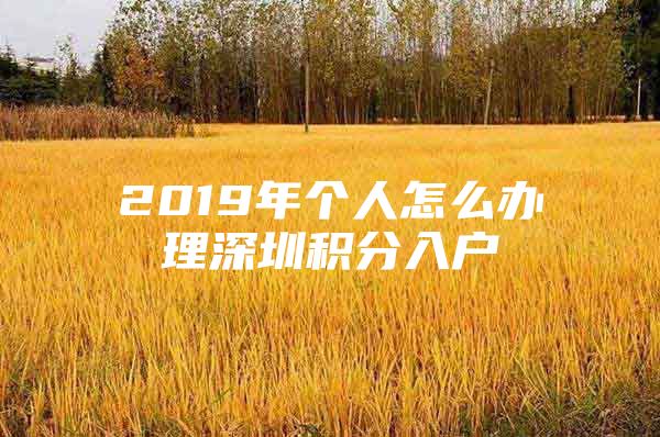 2019年个人怎么办理深圳积分入户