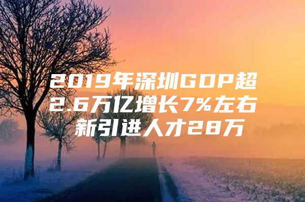 2019年深圳GDP超2.6万亿增长7%左右 新引进人才28万