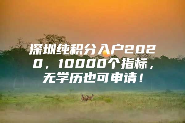 深圳纯积分入户2020，10000个指标，无学历也可申请！