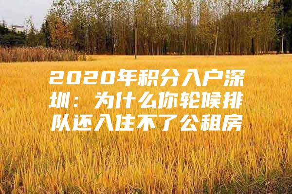 2020年积分入户深圳：为什么你轮候排队还入住不了公租房