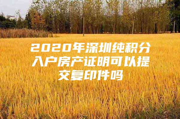 2020年深圳纯积分入户房产证明可以提交复印件吗